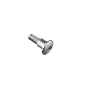 Special Screw M6 X 19 + Smooth Part D7,9 X 8 Lightech