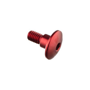 Special Screw M6 X 15 + Smooth Part D7,9 X 6 Lightech