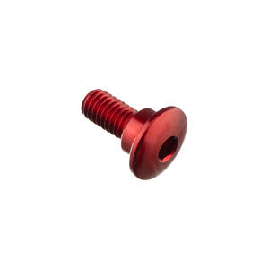 Special Screw M6 X 15 + Smooth Part D8,9 X 4 Lightech