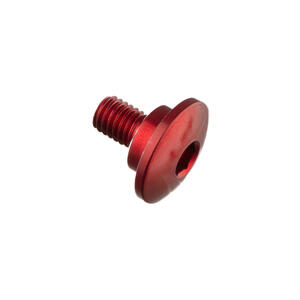 Special Screw M5 X 10 + Smooth Part D8,9 X 3 Lightech