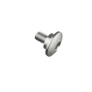 Special Screw M5 X 10 + Smooth Part D8,9 X 3 Lightech