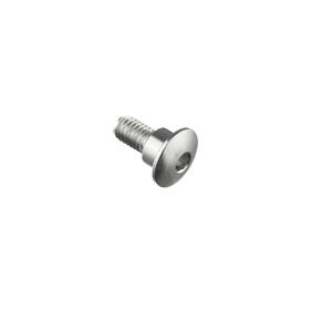 Special Screw M6 X 15 + Smooth Part D8,9 X 5 Lightech