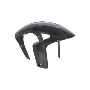 Carbon Front Mudguard for Aprilia Lightech