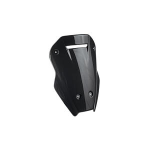 Cupolino In Carbonio per Ducati Lightech