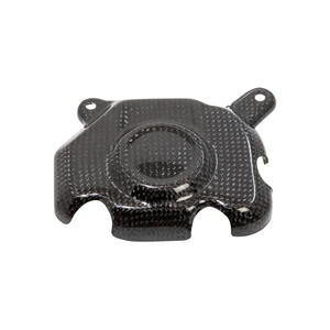 Coperchio Pick Up In Carbonio per Kawasaki Lightech