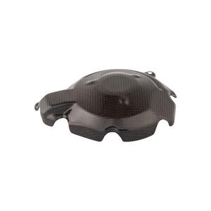 Coperchio Alternatore In Carbonio - Opaco per Suzuki Lightech