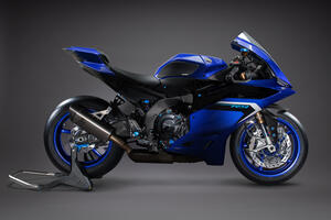 Carbon Frame Protections for Yamaha Lightech