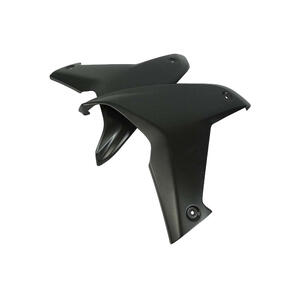 Fianchetti Laterali Carena Dx+Sx per Ducati <p>Colore Naturale</p>