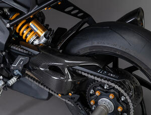 Carbon Swingarm Protector (Pair) for Triumph <p>Colore Naturale</p>