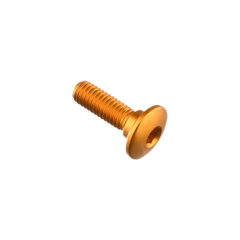 Special Screw M6 X 19,5 + Smooth Part D7,5 X 3,5 Oro