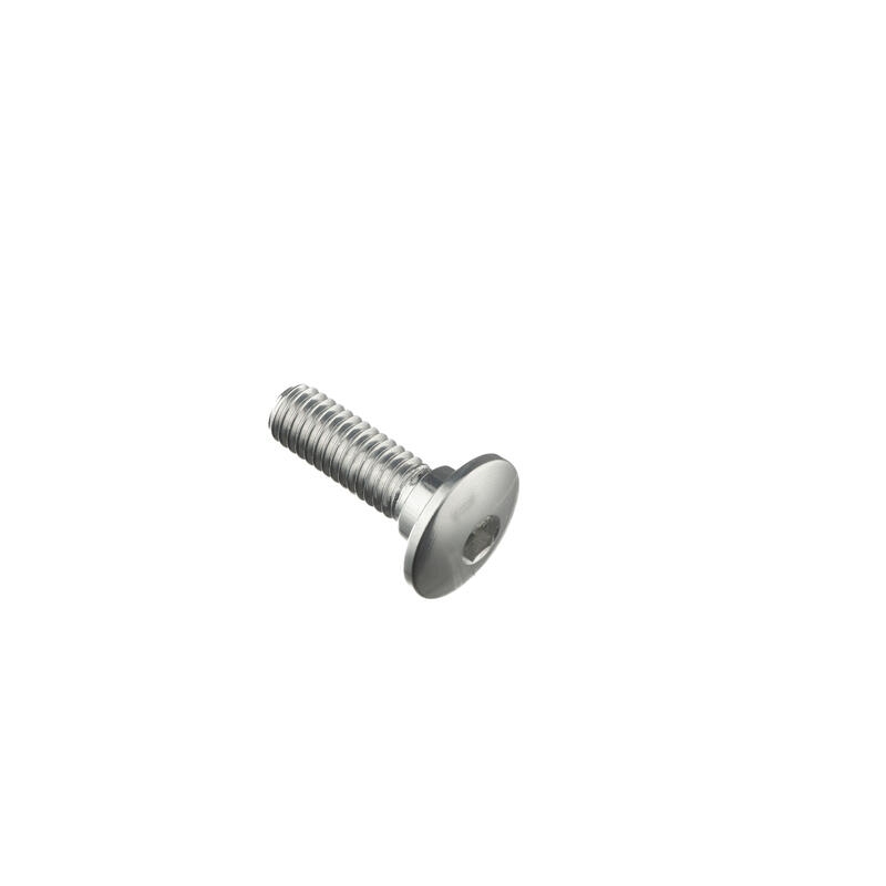 Special Screw M6 X 19,5 + Smooth Part D7,5 X 3,5 Argento