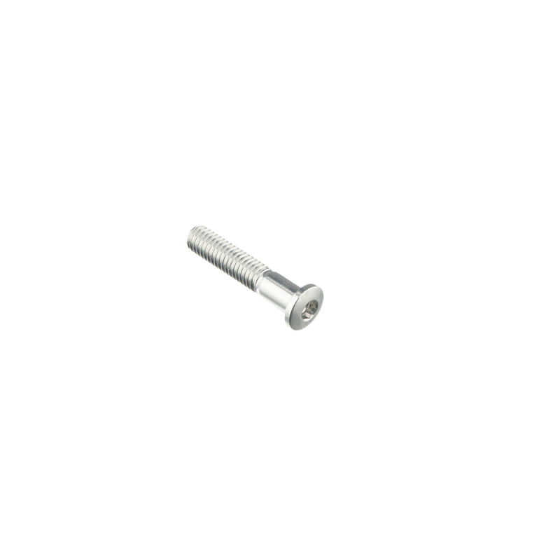 Special Screw M6 X 30 + Smooth Part D6 X 9 Argento
