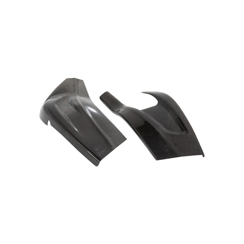 Carbon Arm Protections (Pair) for Bmw Lucido