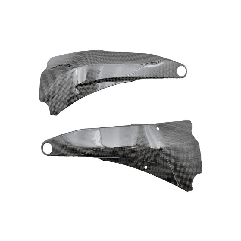 Carbon Frame Protections (Pair) for Ducati Lucido