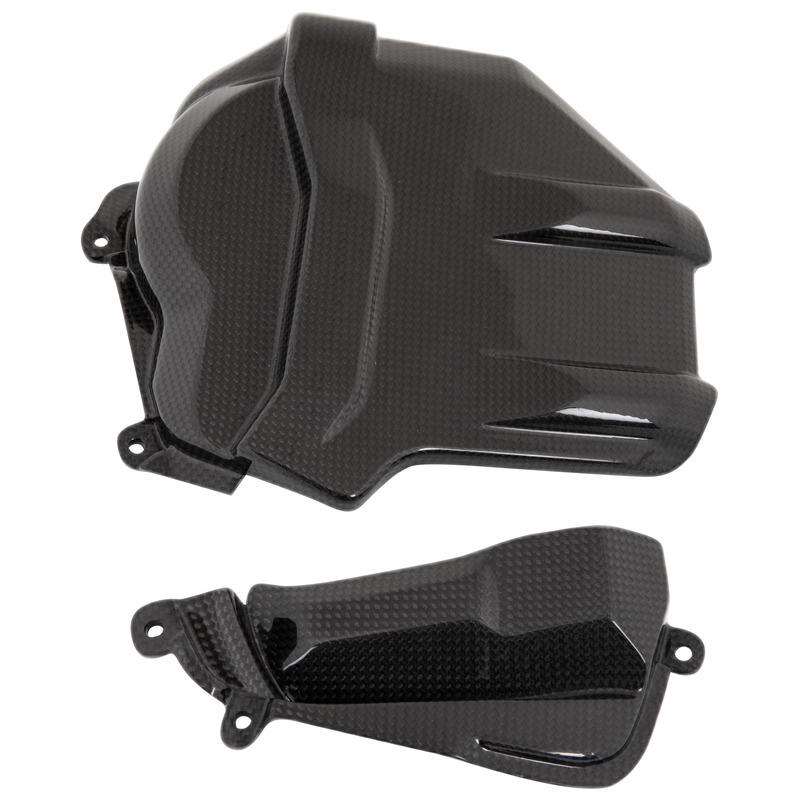 Carbon Engine Cover for Ducati Naturale