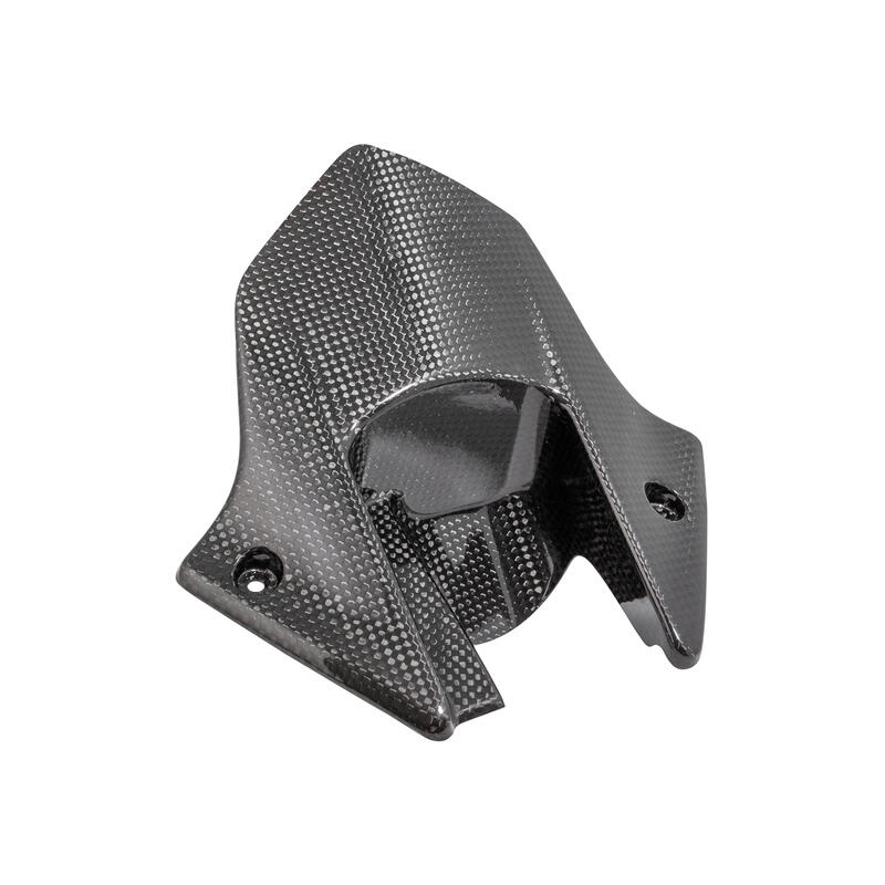 Carbon Rear Mudguard for Honda Lucido