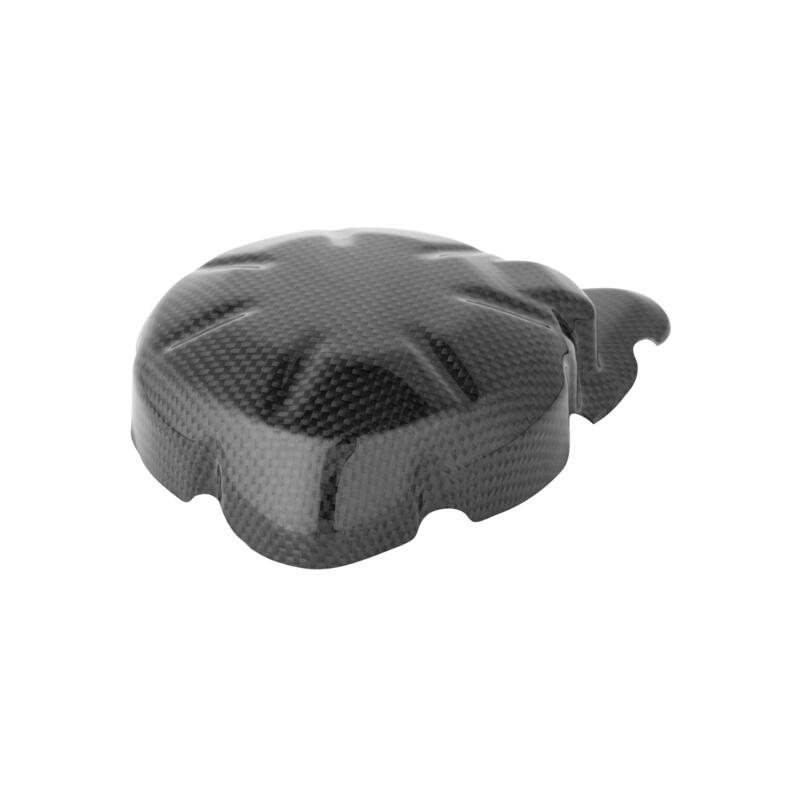 Coperchio Alternatore In Carbonio per Kawasaki Lucido