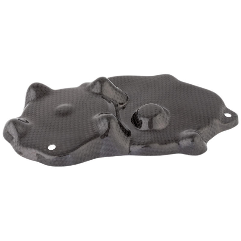 Coperchio Pick Up In Carbonio per Kawasaki Naturale