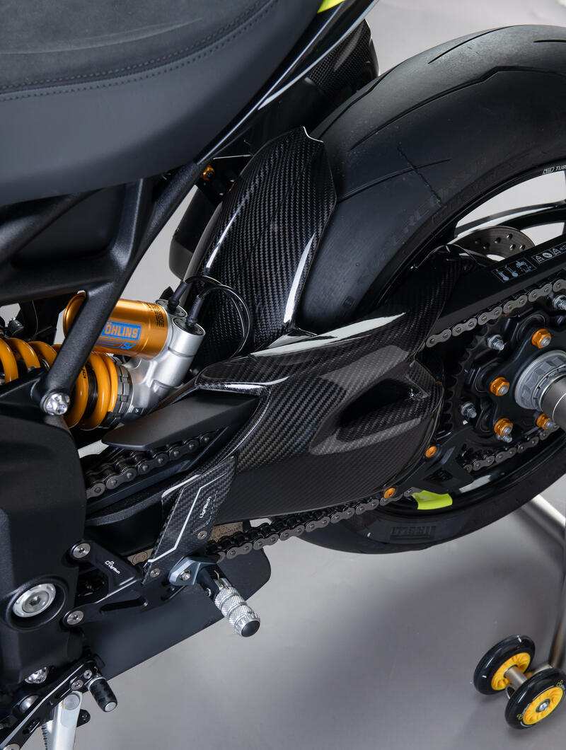 Carbon Swingarm Protector (Pair) for Triumph Lucido