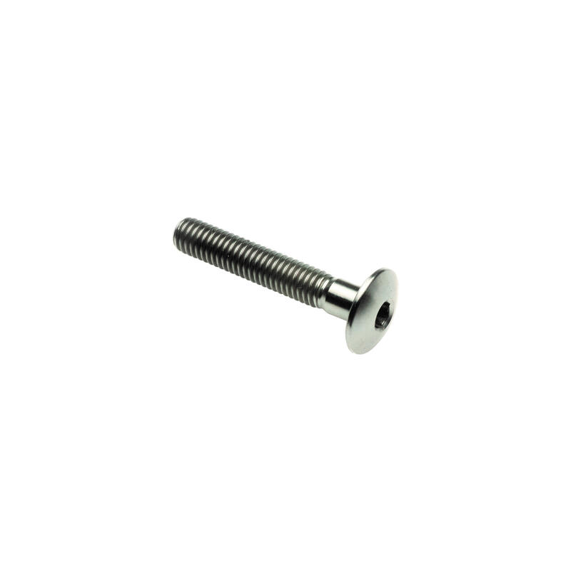 Vite Bombata Tit. G.5 Cl 002 M4 L. 15 Testa &Oslash;10  Titanio 6al4v Gr.5 Titanio